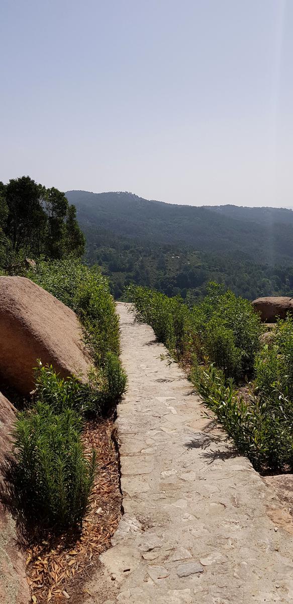 Pedra Amarela Viewpoint